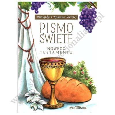 PISMO ŚWIĘTE - STARY I NOWY TESTAMENT - 85132